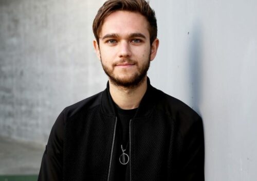 Zedd fortune